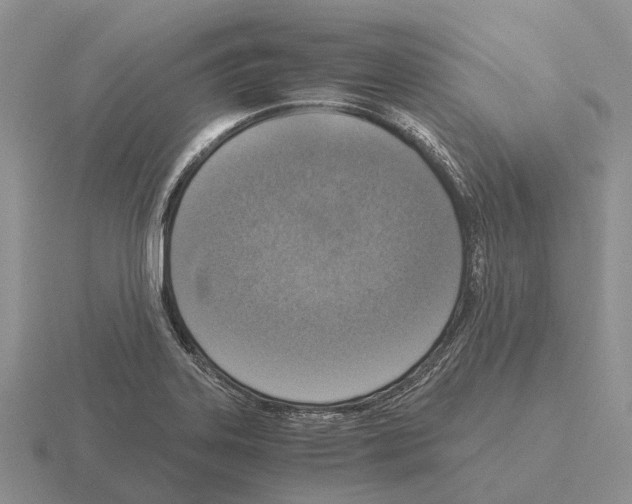 X0000115441323200912161446