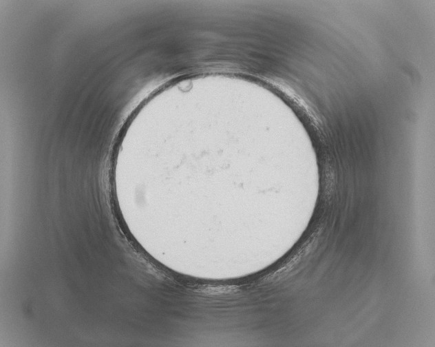 X0000115441325200912161446