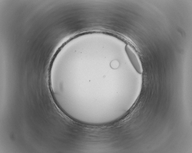 X0000115441326200912161446