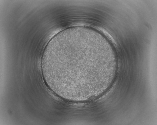 X0000115441329200912161446