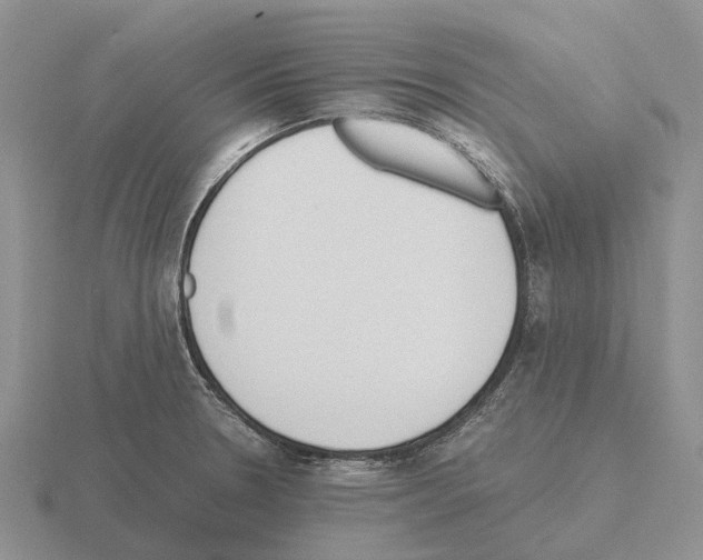 X0000115441330200912161446