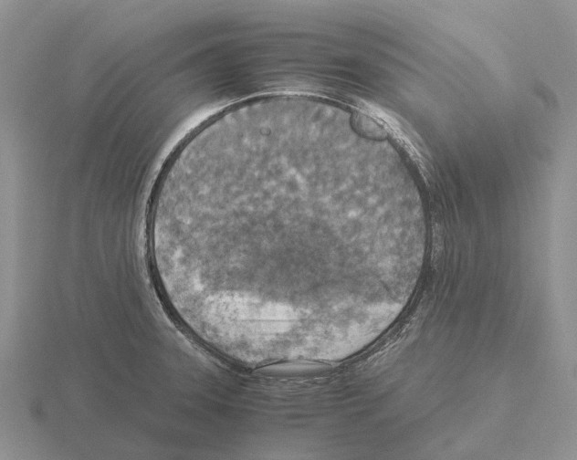 X0000115441331200912161446