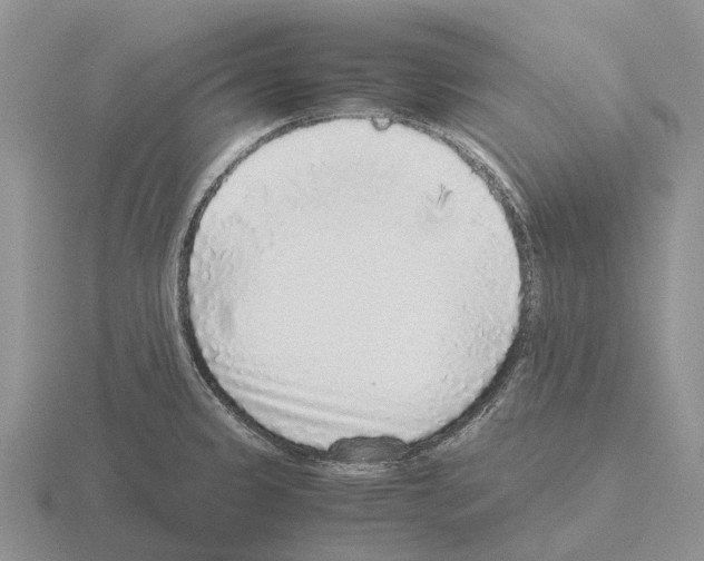 X0000115441333200912161446