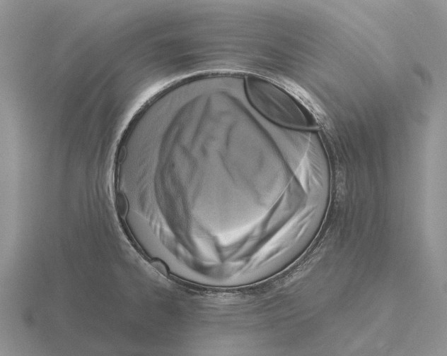 X0000115441334200912161446