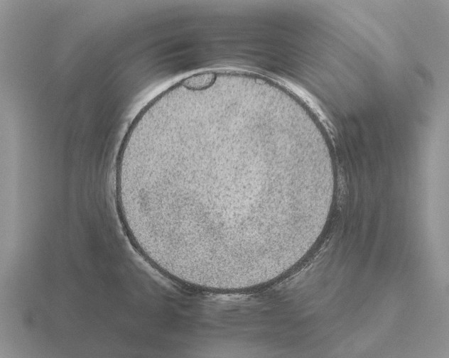 X0000115441335200912161446