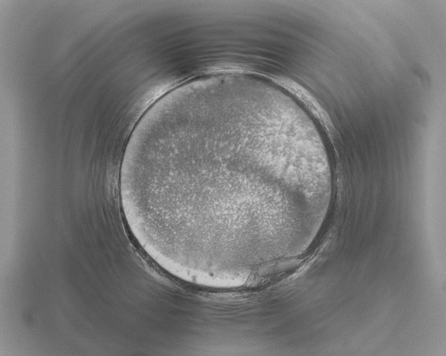 X0000115441337200912161446