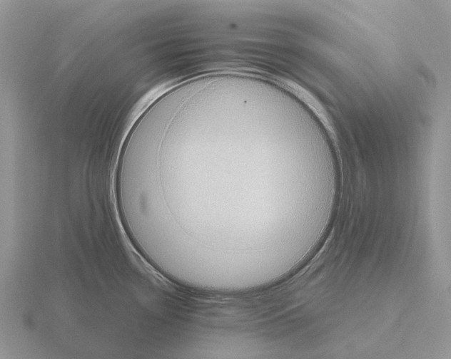 X0000115441338200912161446