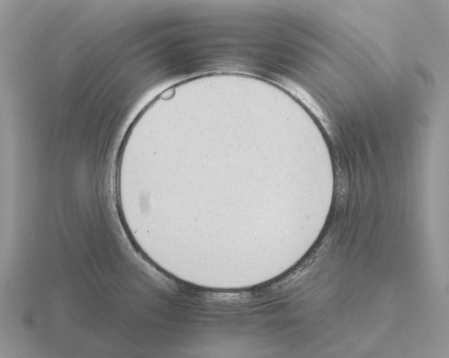 X0000115441339200912161446