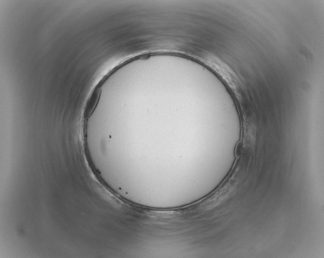 X0000115441342200912161446