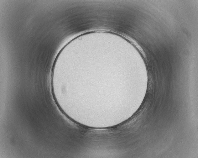 X0000115441343200912161446