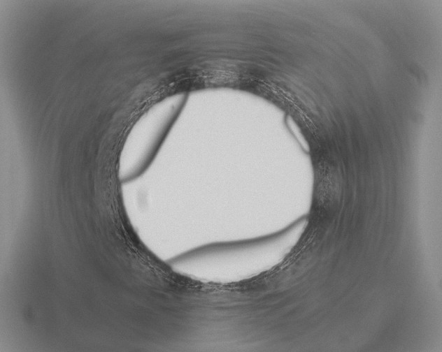 X0000115441345200912161446