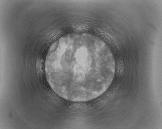 X0000115441346200912161446