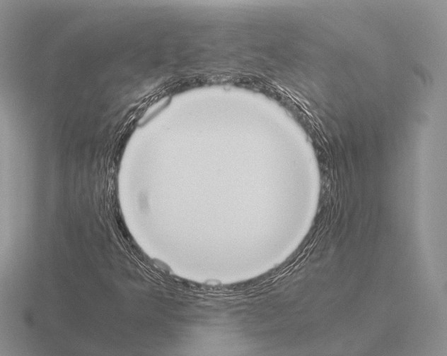 X0000115441349200912161446