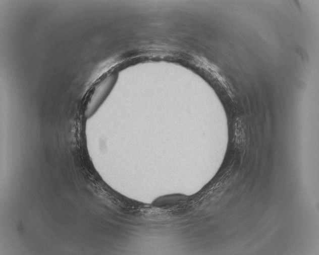 X0000115441352200912161446