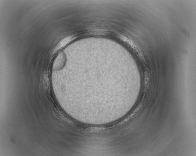 X0000115441354200912161446