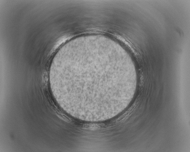 X0000115441355200912161446