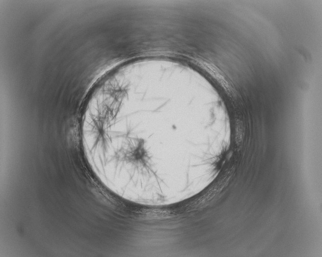 X0000115441356200912161446