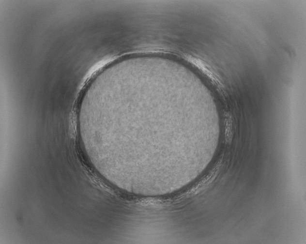 X0000115441358200912161446