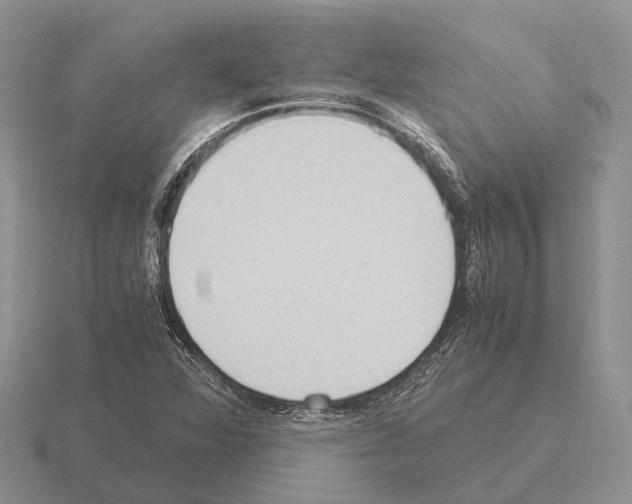 X0000115441360200912161446