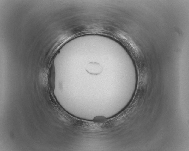 X0000115441361200912161446