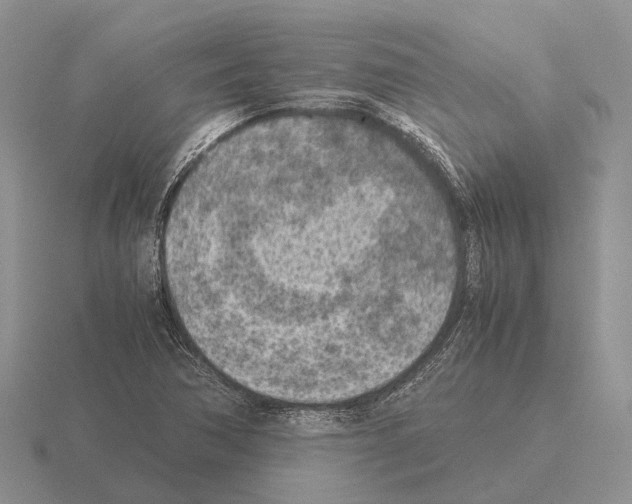 X0000115441362200912161446