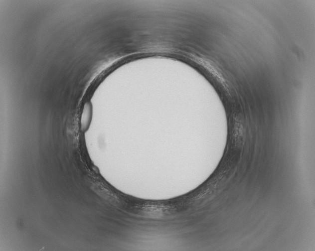 X0000115441364200912161446