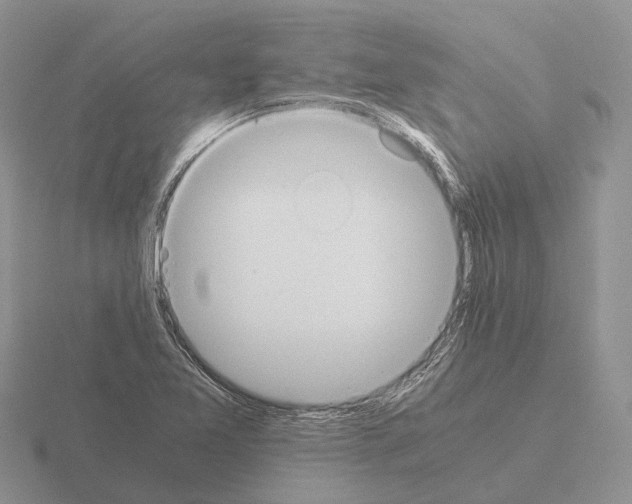 X0000115441365200912161446