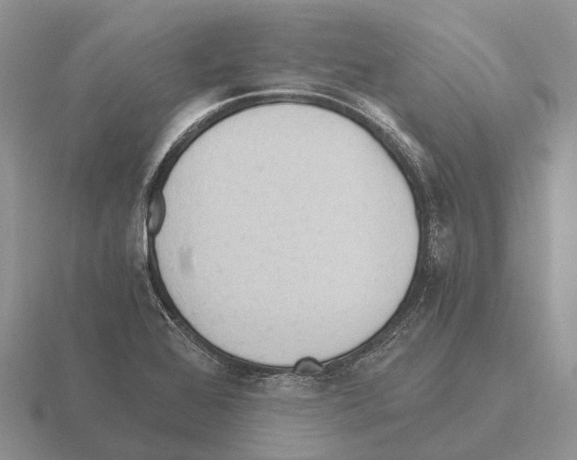 X0000115441368200912161446