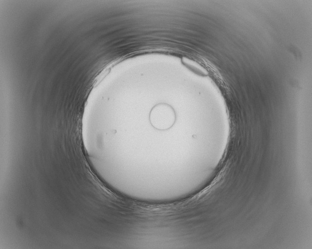 X0000115441369200912161445