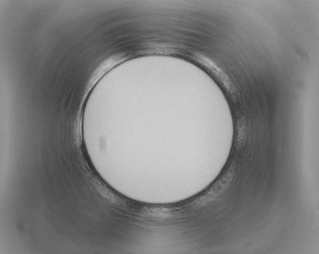 X0000115441370200912161445