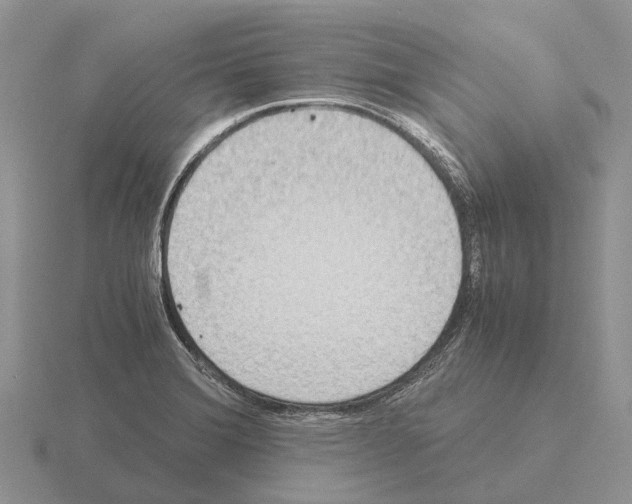 X0000115441372200912161445