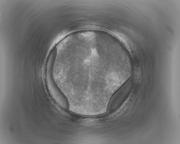 X0000115441373200912161445