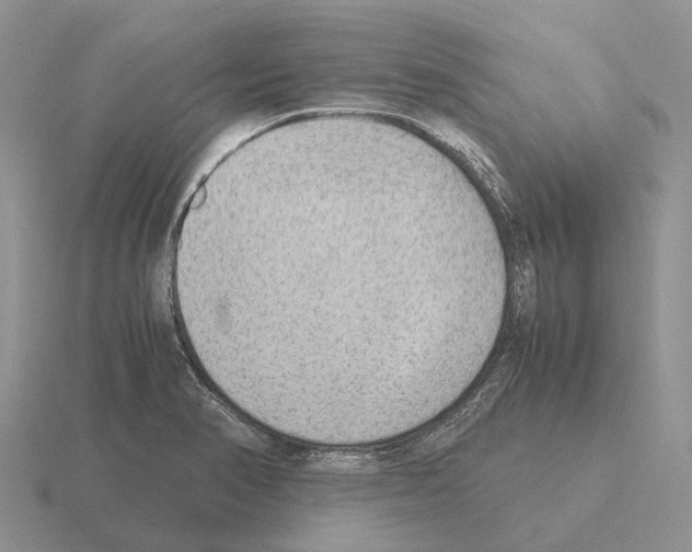 X0000115441374200912161445