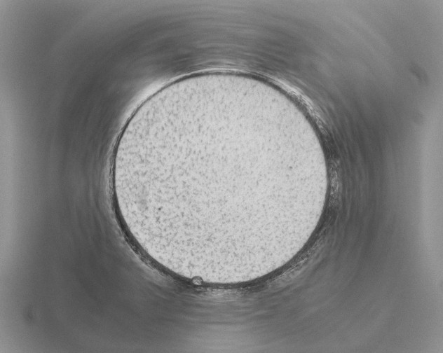 X0000115441375200912161445