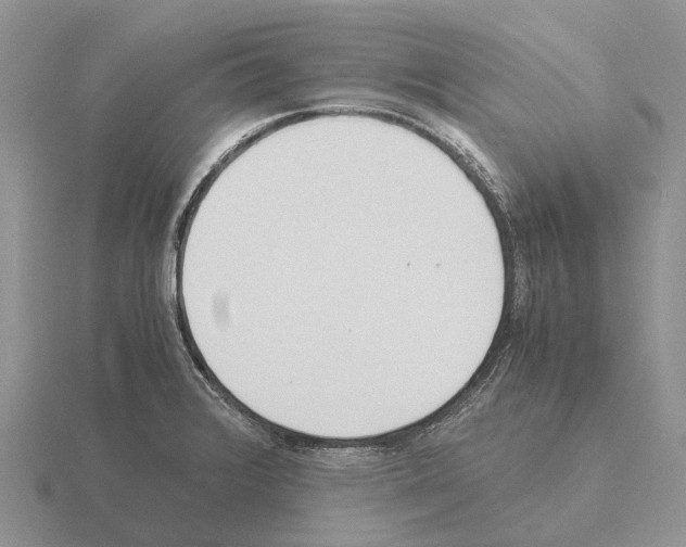 X0000115441376200912161445