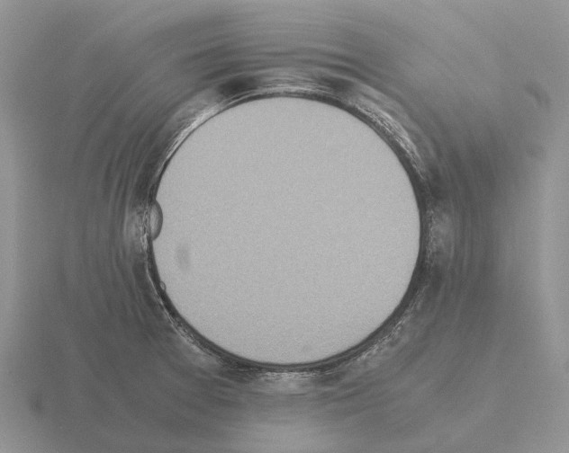 X0000115441377200912161445