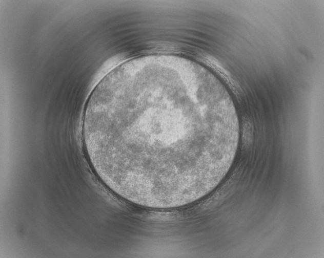 X0000115441378200912161445