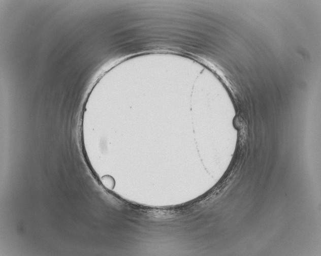 X0000115441379200912161445