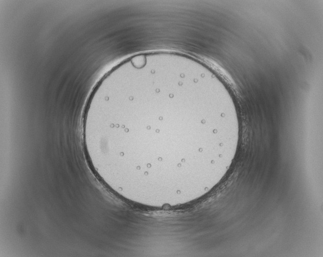 X0000115441380200912161445