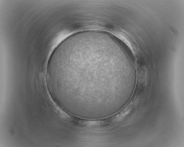 X0000115441381200912161445