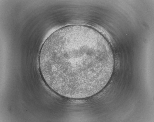 X0000115441382200912161445