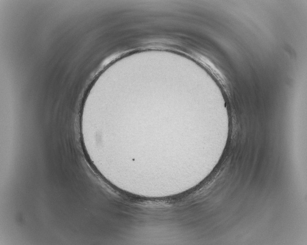 X0000115441384200912161445