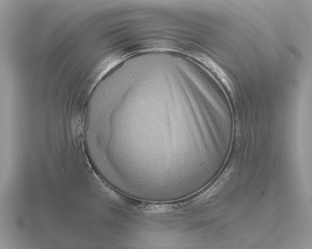 X0000115441385200912161445