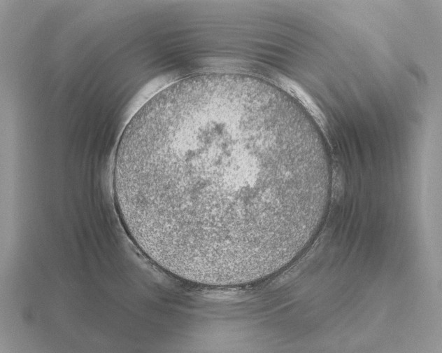 X0000115441386200912161445