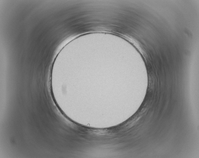 X0000115441387200912161445