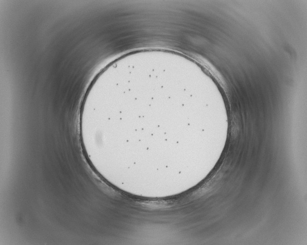 X0000115441388200912161445