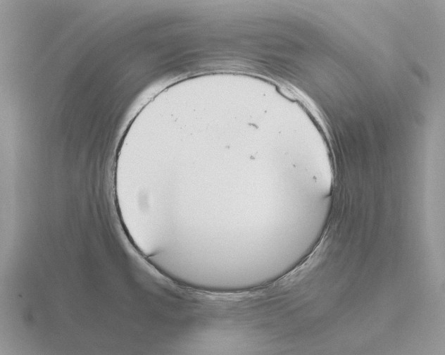 X0000115441389200912161445