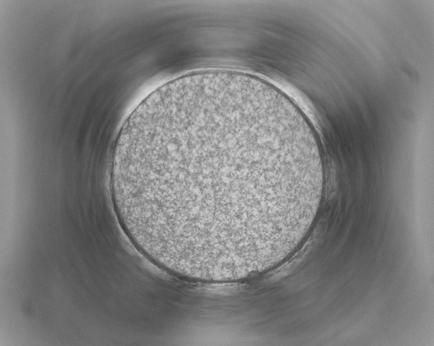 X0000115441390200912161445