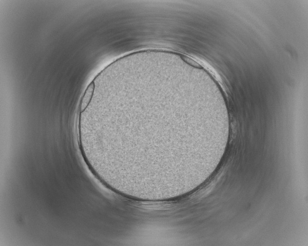 X0000115441391200912161445