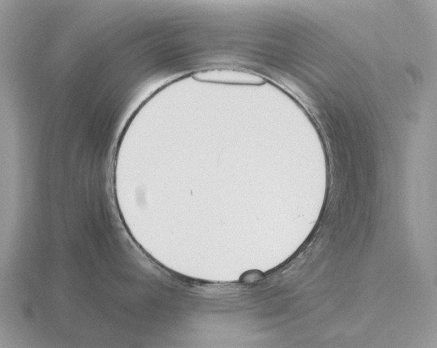 X0000115441392200912161445